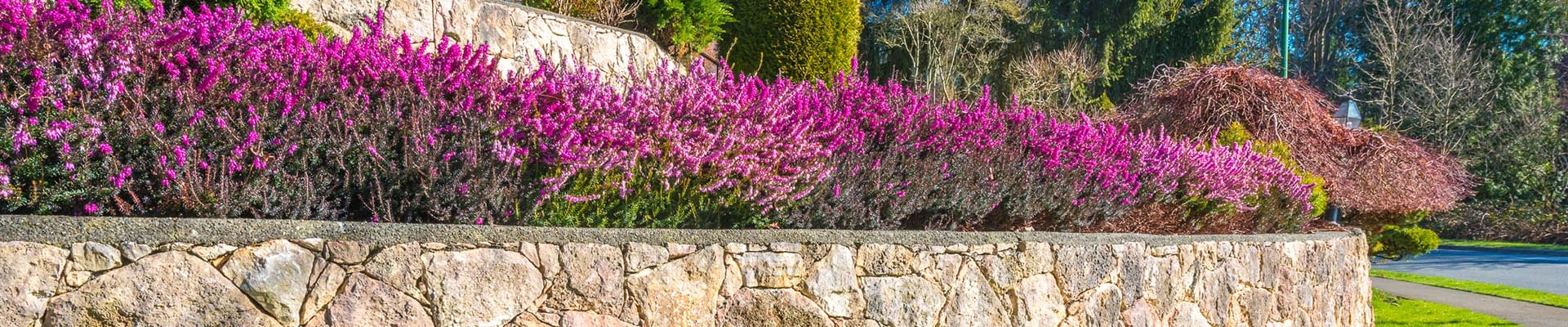 entretien de jardin